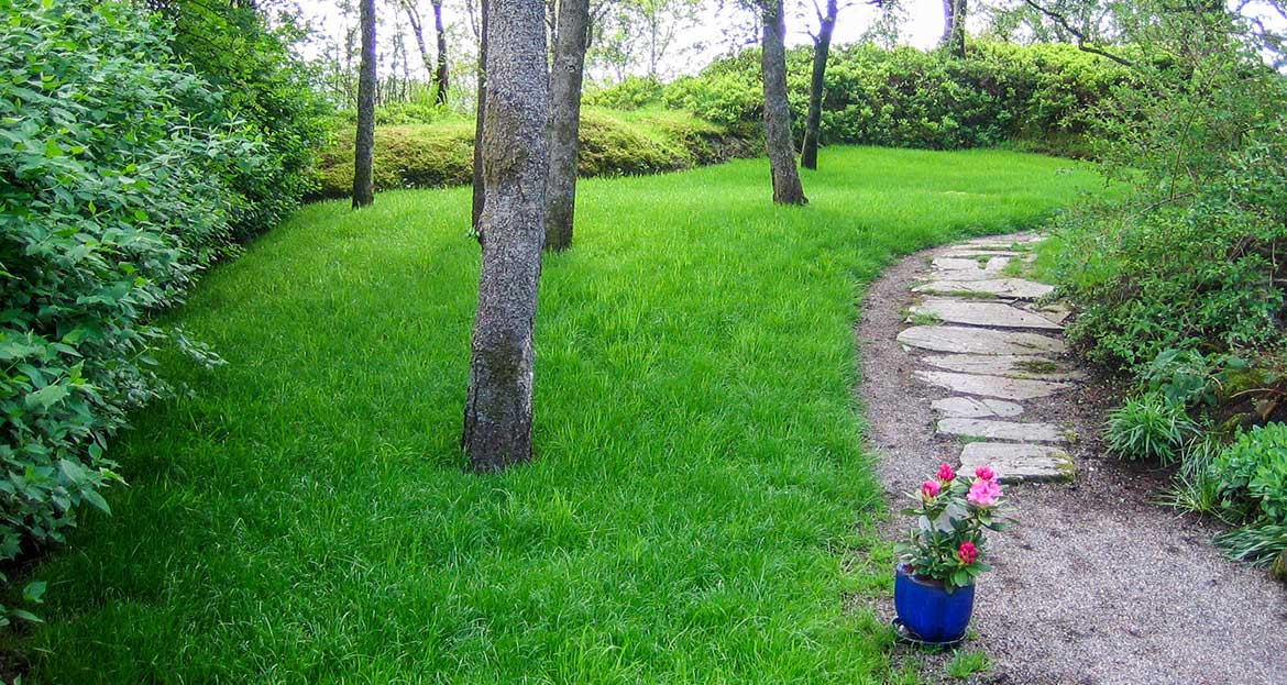 Grønt gress med tråkkheller.